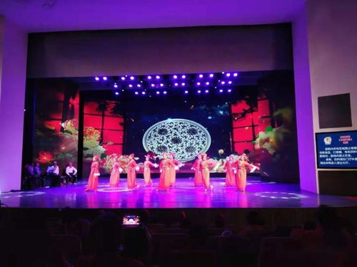 珠海市会长协会和珠海部分社团组织参加海峡两岸文化艺术交流大赛